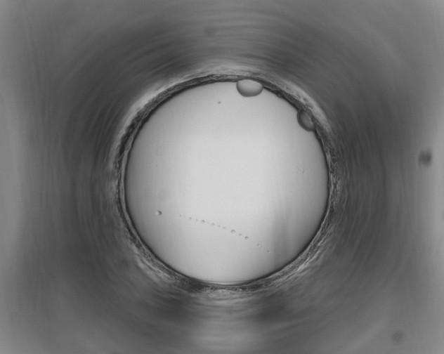 X0000095961027200801110941