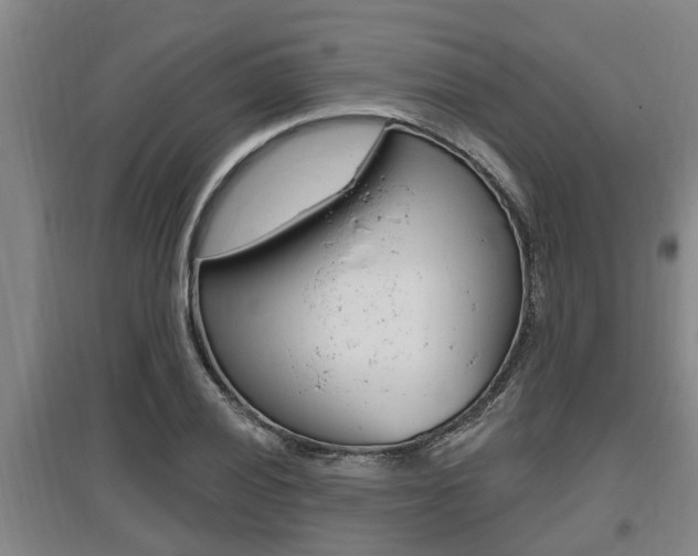 X0000095961028200801110941