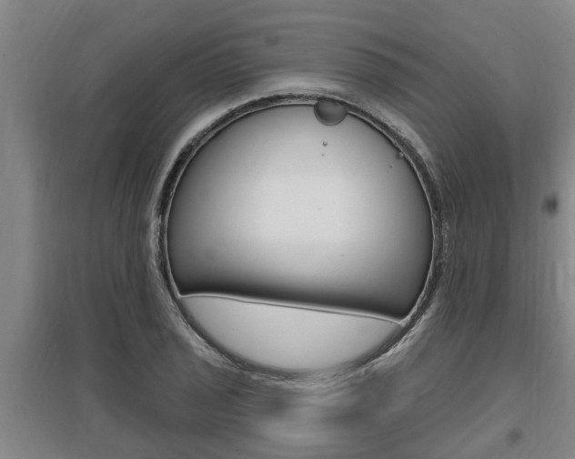 X0000095961029200801110941