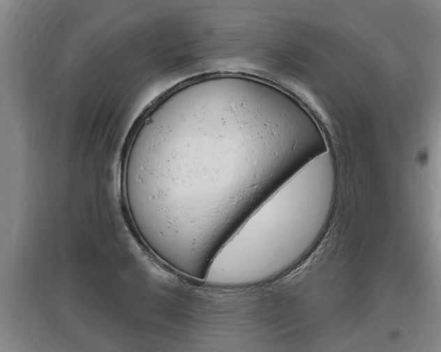 X0000095961032200801110941