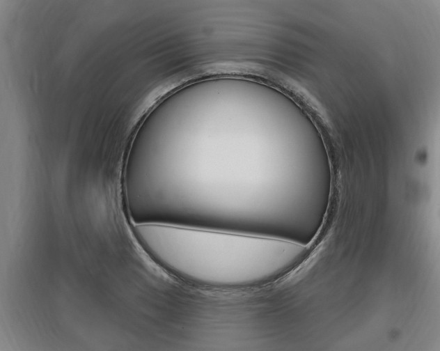 X0000095961033200801110941