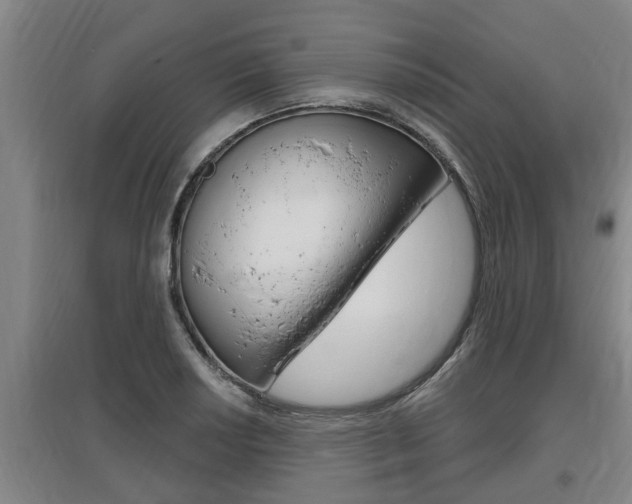 X0000095961034200801110941