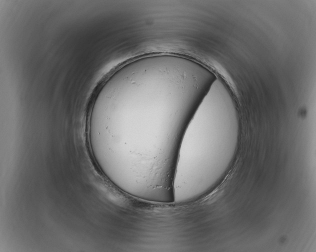 X0000095961035200801110941