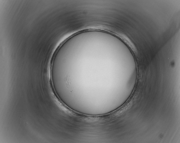 X0000095961036200801110941