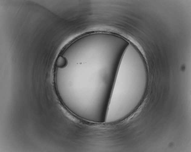 X0000095961037200801110941