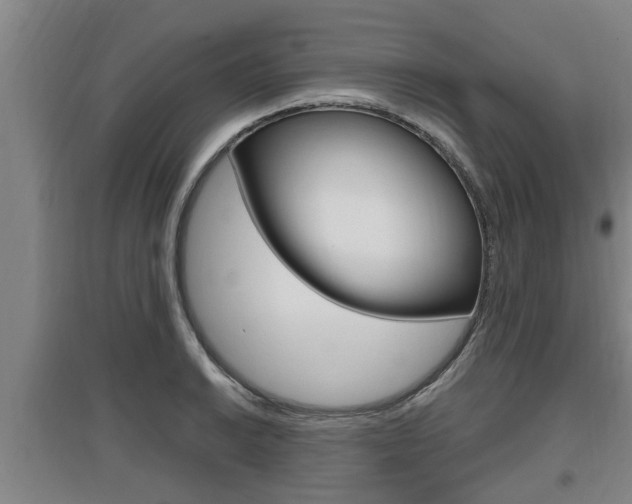 X0000095961038200801110941