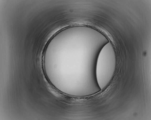 X0000095961039200801110941