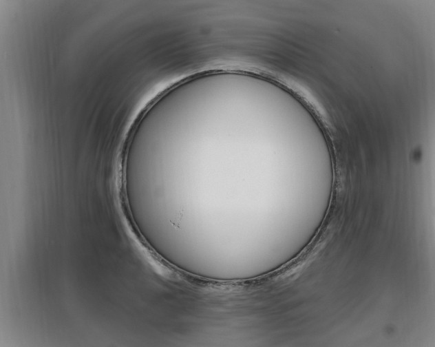 X0000095961040200801110941