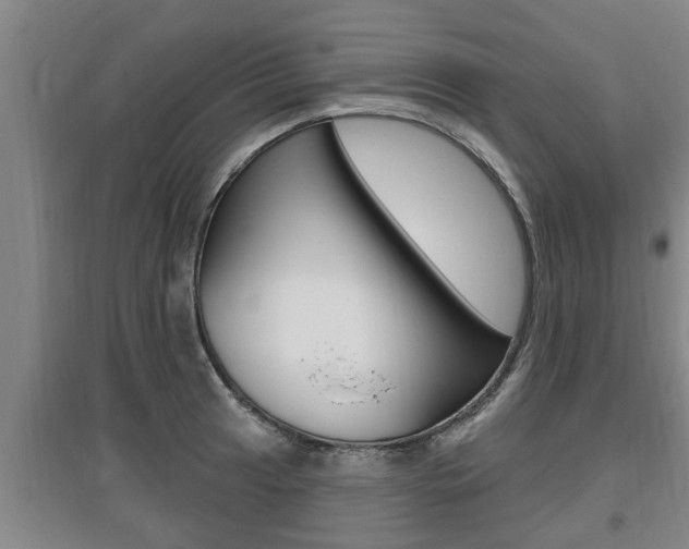 X0000095961041200801110941