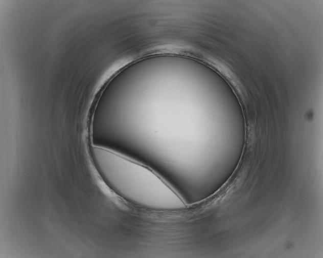 X0000095961042200801110941