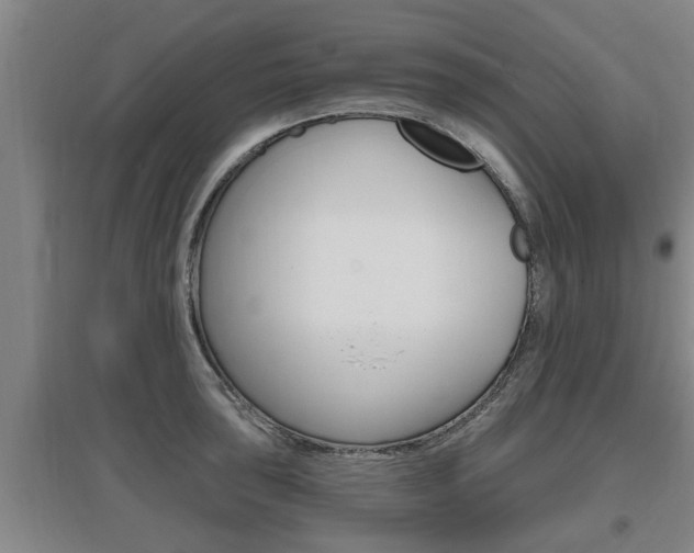 X0000095961043200801110941