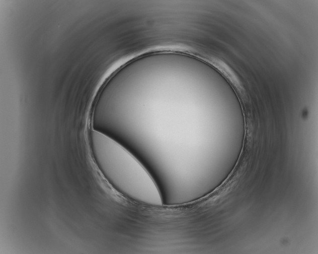 X0000095961044200801110941