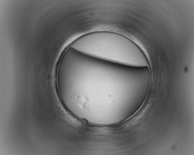 X0000095961045200801110941