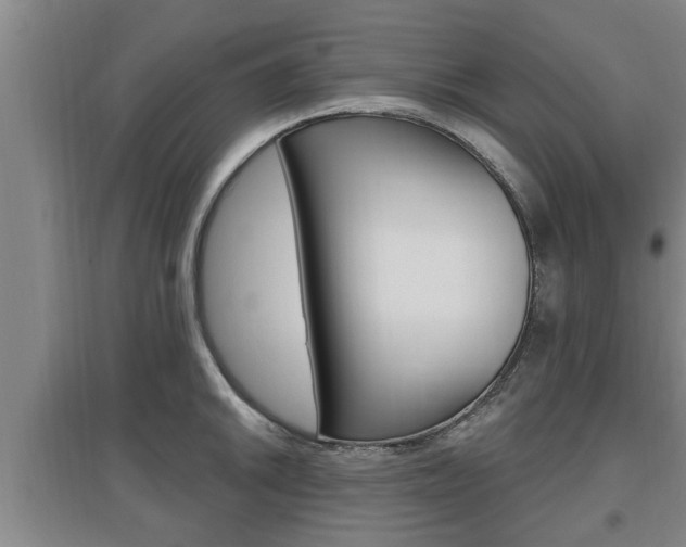X0000095961046200801110941