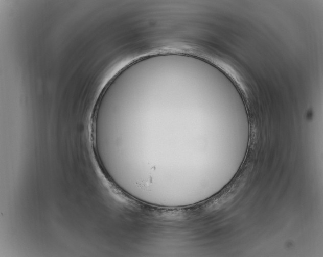 X0000095961047200801110941