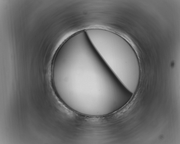 X0000095961048200801110941