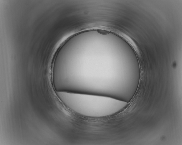 X0000095961051200801110941