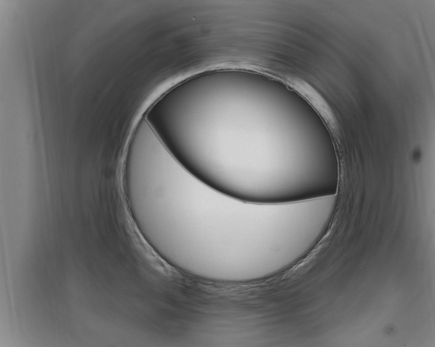 X0000095961052200801110941