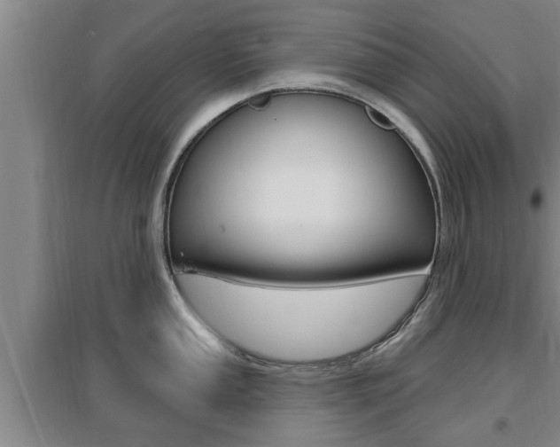 X0000095961053200801110941