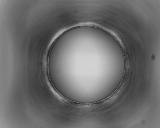 X0000095961054200801110941