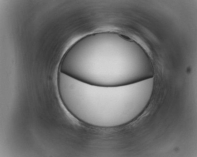 X0000095961055200801110941