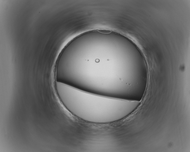 X0000095961056200801110941