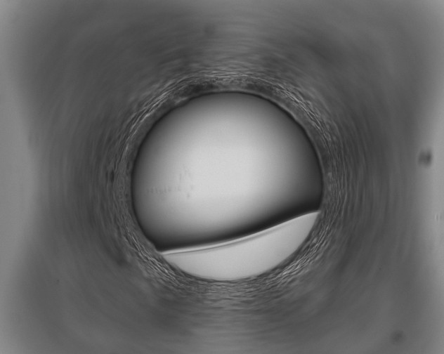 X0000095961057200801110941