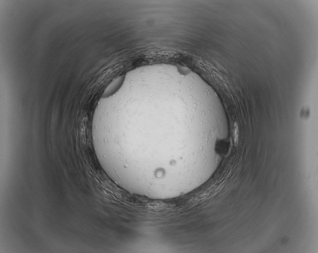 X0000095961059200801110941