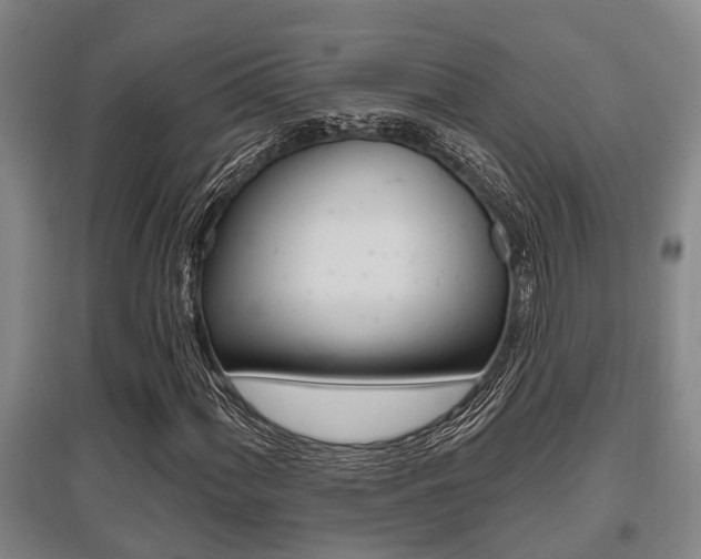 X0000095961060200801110941