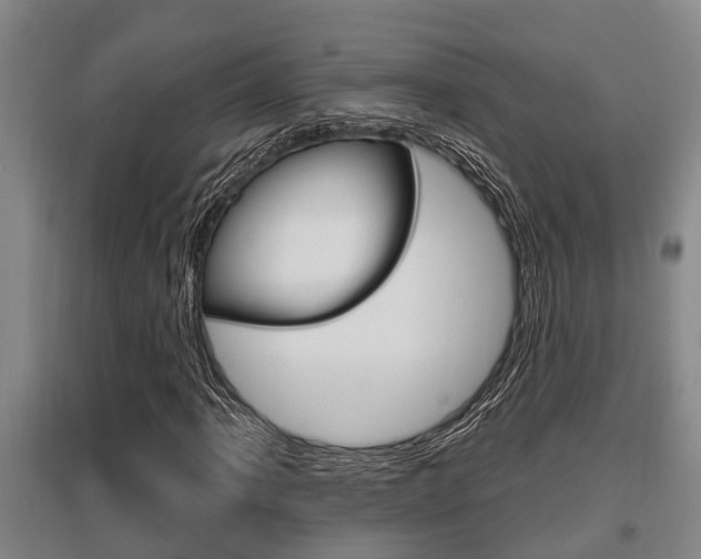 X0000095961061200801110941