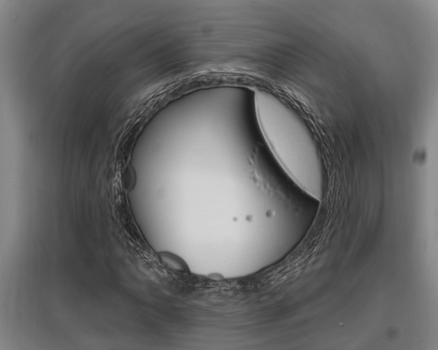 X0000095961062200801110941