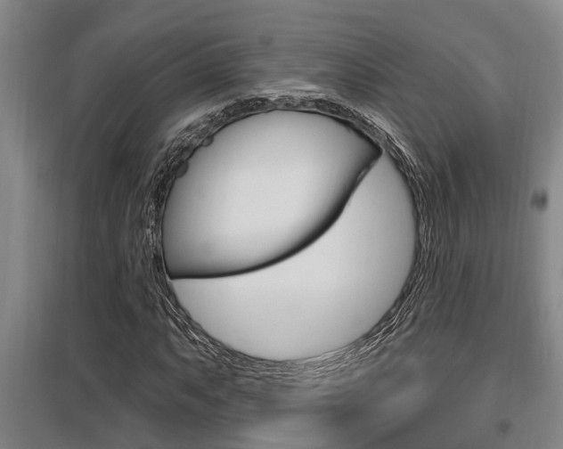 X0000095961063200801110941