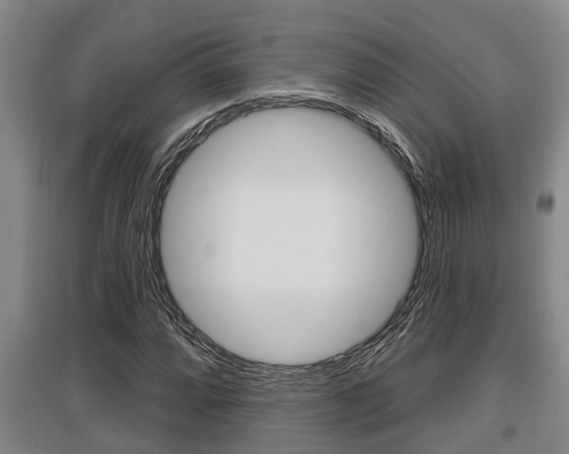X0000095961064200801110941