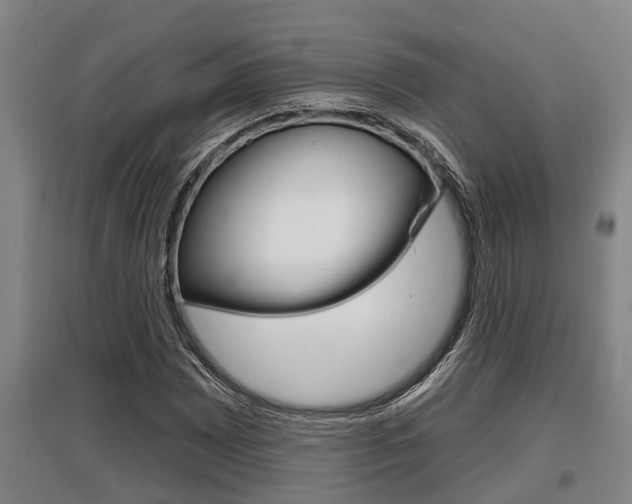 X0000095961065200801110941