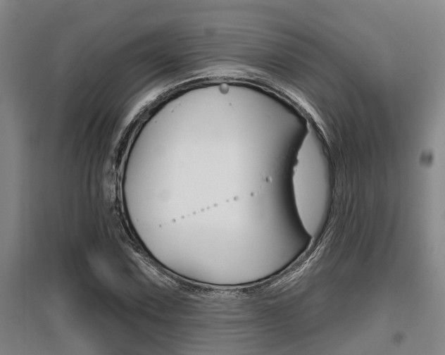 X0000095961067200801110941