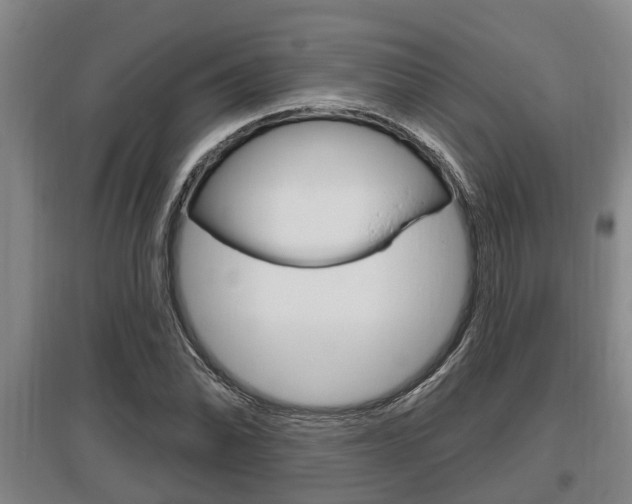 X0000095961070200801110941
