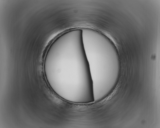 X0000095961071200801110941