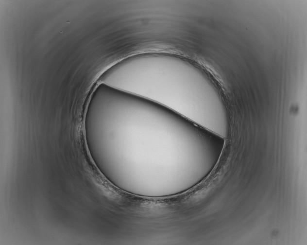 X0000095961073200801110941