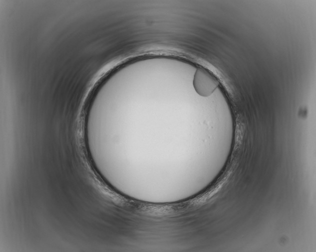 X0000095961074200801110941