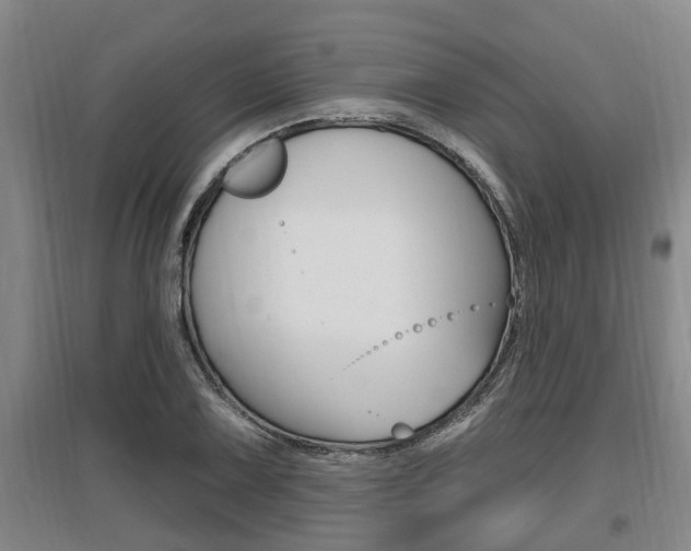 X0000095961075200801110940