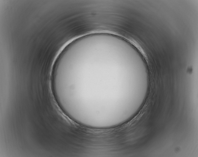 X0000095961076200801110940