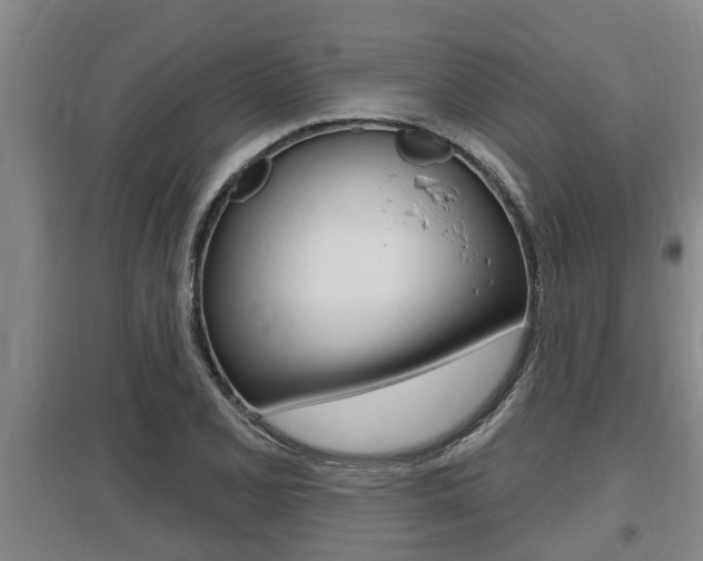 X0000095961077200801110940