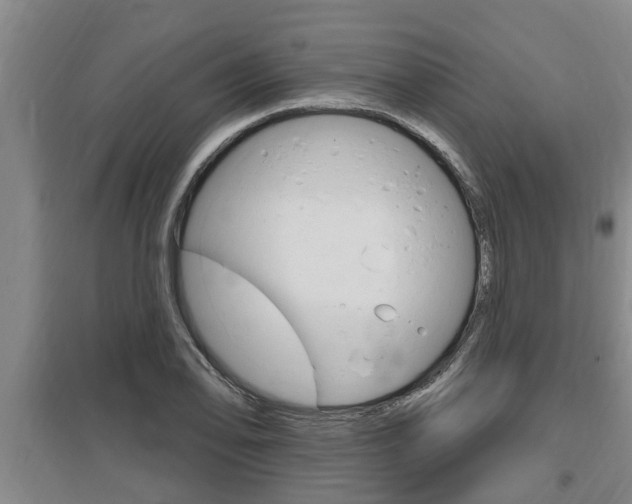 X0000095961078200801110940
