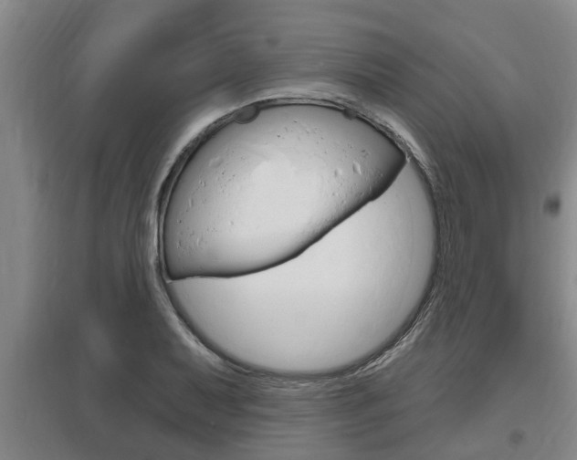 X0000095961079200801110940