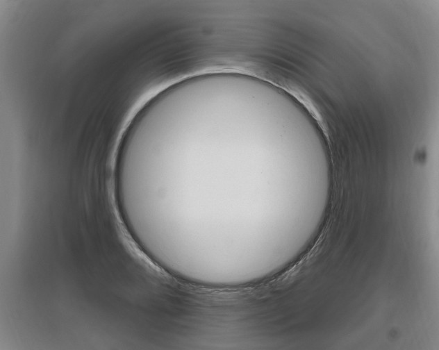 X0000095961080200801110940