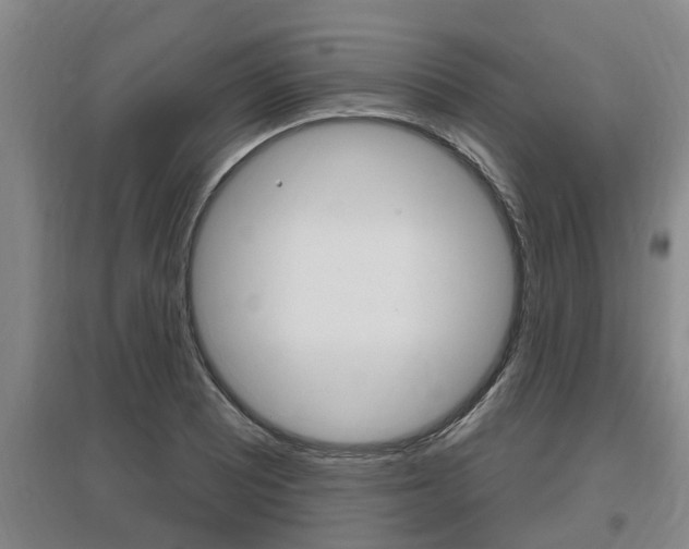 X0000095961081200801110940