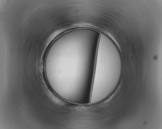 X0000095961082200801110940