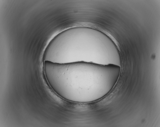 X0000095961083200801110940