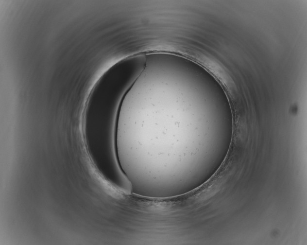 X0000095961084200801110940