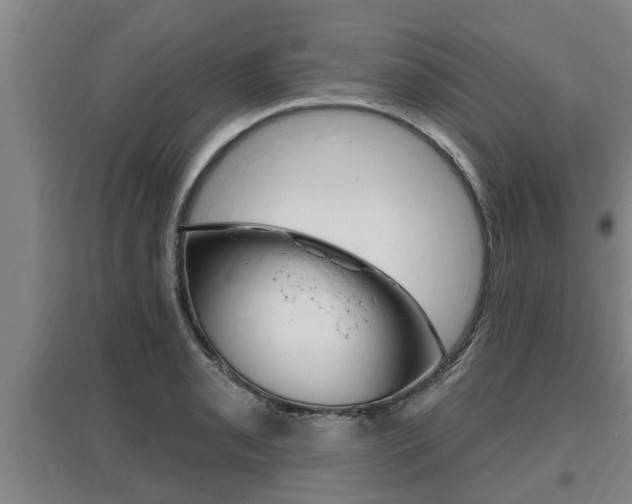 X0000095961085200801110940